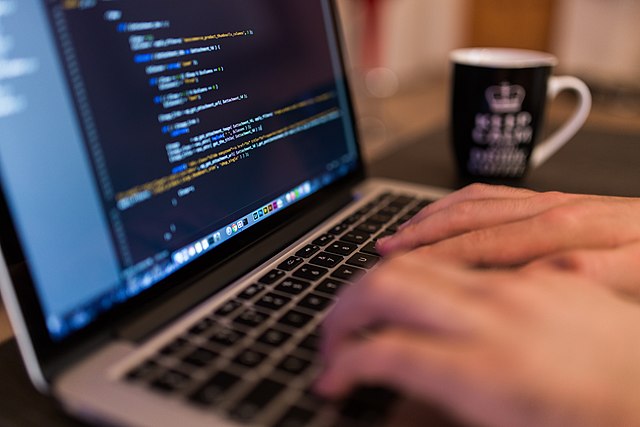 Computer programmer